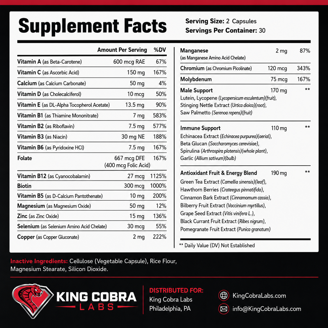 MEN'S MULTIVITAMIN + ENERGY